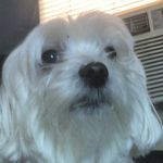 brandon_eisenbrown - Instagram Profile Picture of brandon_eisenbrown (@brandon_eisenbrown) on Instagram