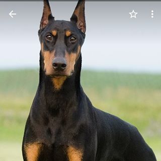 Profile Picture of Stephen Grecco (@stephen.grecco.94) on Facebook