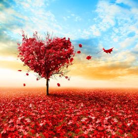 Profile Picture of Jen (@trinity139) on Pinterest