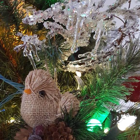 Profile Picture of Jill Bennet (@jill_bennet) on Poshmark