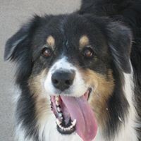 Profile Picture of Barbara Coppola-devine (@barbara-coppola-devine) on Quora