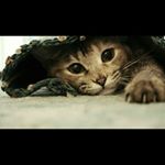 Profile Picture of MichaelJAndRachelJ2015 (@michaeljandrachelj2015) on Instagram