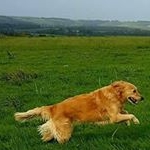 Profile Picture of Trudi Smith (@trudismithphotography) on Instagram