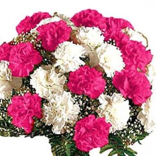 Profile Picture of Lee Ann Clarkson (@pinkcarnations31) on Facebook