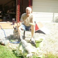 Profile Picture of Ginger Ball (@ginger-ball-2) on Quora