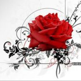 Profile Picture of Susan Friedman (@susanfriedman35) on Pinterest