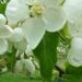 Profile Picture of Nancy Hoyt Buehre (@nancyhb) on Pinterest