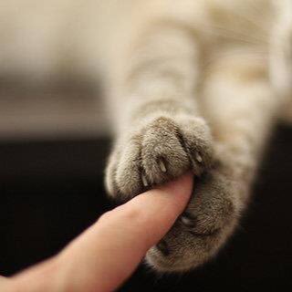 Profile Picture of Wang Mina (@Mina900531) on Twitter