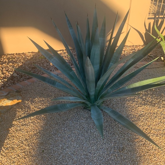 Profile Picture of Karen Timpani (@ktimpani) on Poshmark