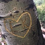 Profile Picture of Jimmy And Jamie (@jimmyandjamie) on Instagram