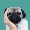 Profile Picture of Lance Barry (@@2182944647) on Tiktok