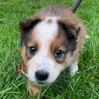 Profile Picture of Andrew Sullivan (@Andrew-Sullivan) on Facebook