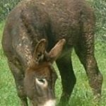 Profile Picture of Michael Minter (@michaelspencerminter) on Instagram