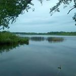 Kelly Lovin - Instagram Profile Picture of Kelly Lovin (@bradandkellylovin) on Instagram