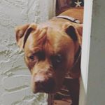 Profile Picture of Chad Manke (@chad.manke) on Instagram