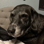 Profile Picture of Matthew Hammer (@mattd8555) on Instagram