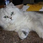 Profile Picture of Eugene Butler Muller (@eugenebutlermuller) on Instagram