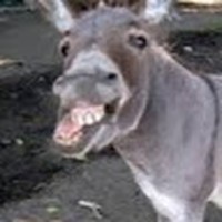 Profile Picture of Colby Branch (@colby-branch-1) on Quora