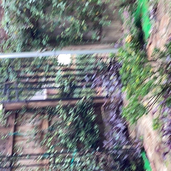 Profile Picture of Jamey Breerwood (@jameybreerwood) on Poshmark