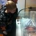 Profile Picture of Pat Dunnells (@dunnellsp) on Pinterest