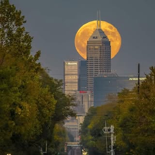 Profile Picture of Tony Dowden (@tonydowden) on Instagram