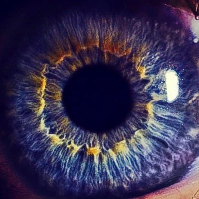 Profile Picture of Sean Kincaid (@SeanKincaid76) on Twitter