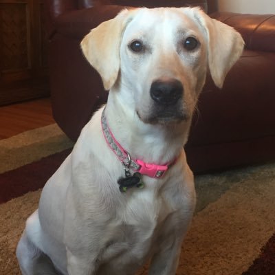 Profile Picture of Mike Trotta (@mike_trotta) on Twitter