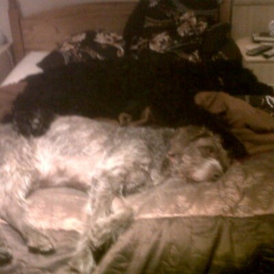 Profile Picture of David Brass (@DavidBrass3) on Twitter