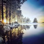 Profile Picture of Thomas McKane (@thomasmckane) on Instagram