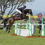 Profile Picture of Ryley James Equestrian (@ryleyjamesequestrian) on Instagram