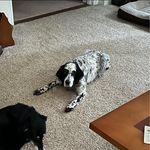 Profile Picture of Gina Allen (@ginaa1999) on Instagram