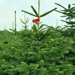 Profile Picture of Heidi Jasmin (@Heidi-Jasmin) on Facebook