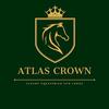 Profile Picture of atlascrown (@atlascrown) on Tiktok