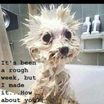 Profile Picture of Neil Chappell (@mrchapps100) on Instagram