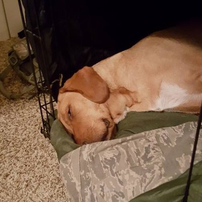 Profile Picture of Christopher McFerrin (@mcferrin65) on Twitter