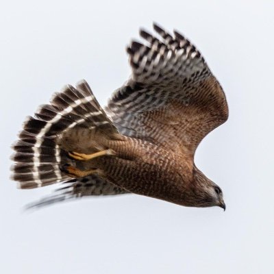 Profile Picture of Alexander B Stross (@AlexanderStross) on Twitter