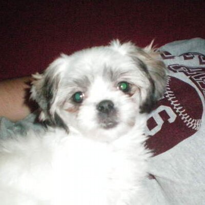 Profile Picture of Dennis Hendricks (@Denden1957) on Twitter