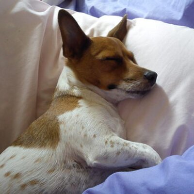 Profile Picture of Pam Betts (@winchesterbetts) on Twitter