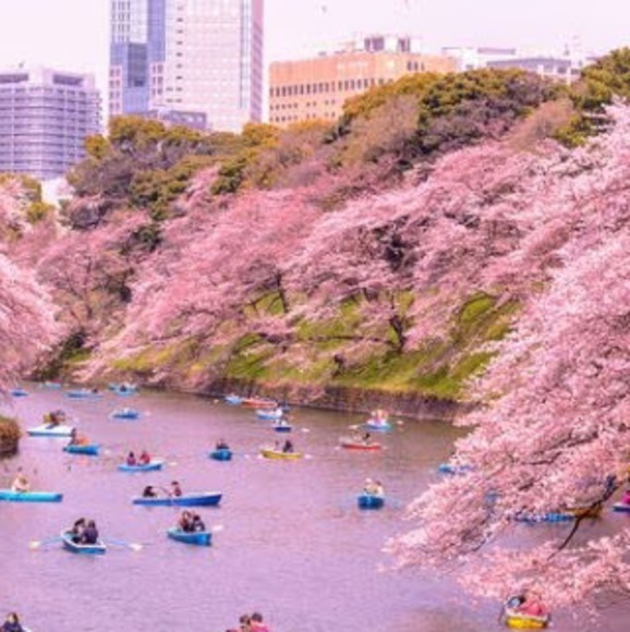 Profile Picture of Olivia Kielczewski (@okielczewski) on Poshmark