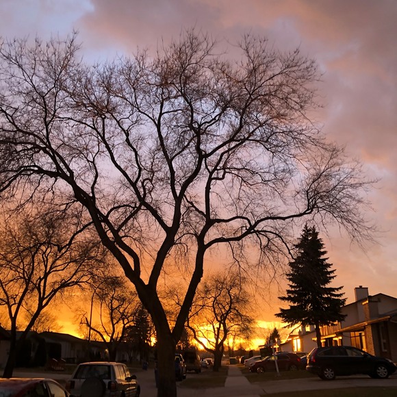 Profile Picture of Braham Ibrahim (@nadimisnew) on Poshmark