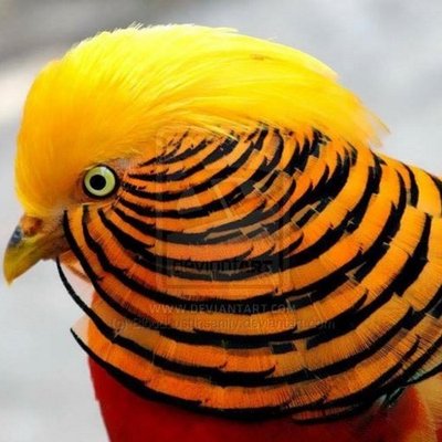 Profile Picture of Jon Yi Sung (@yi_sung) on Twitter