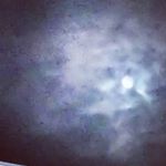 Profile Picture of Cathy Tangredi (@cathytangredi) on Instagram