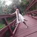 Profile Picture of Alberto Andeliz (@albertoandeliz) on Pinterest