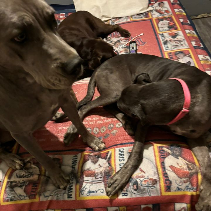 Profile Picture of user953041658424 (@jonathanwilkson) on Tiktok