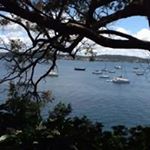 Profile Picture of Jo-Anne Thorn (@thornjoanne) on Instagram