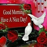 Michael Donath - Instagram Profile Picture of Michael Donath (@michaeldonath5) on Instagram