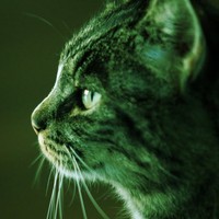 Profile Picture of Alejandro Campa (@alejandro-campa-1) on Quora