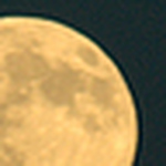 Profile Picture of Brad Laxton (@brad.laxton) on Flickr