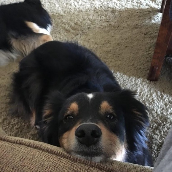 Profile Picture of Kira Obritz (@kiraobritz1) on Poshmark