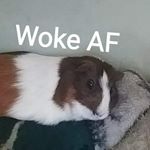 Profile Picture of Brian Cosio (@cosiobrian) on Instagram